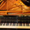 Steinway B