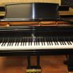 Steinway Model B Six Months Exchange