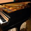 Used Steinway Model B 1987. Level 3 Maestro Service Package